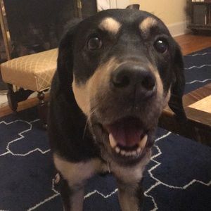 Meet your Posher, Katherine